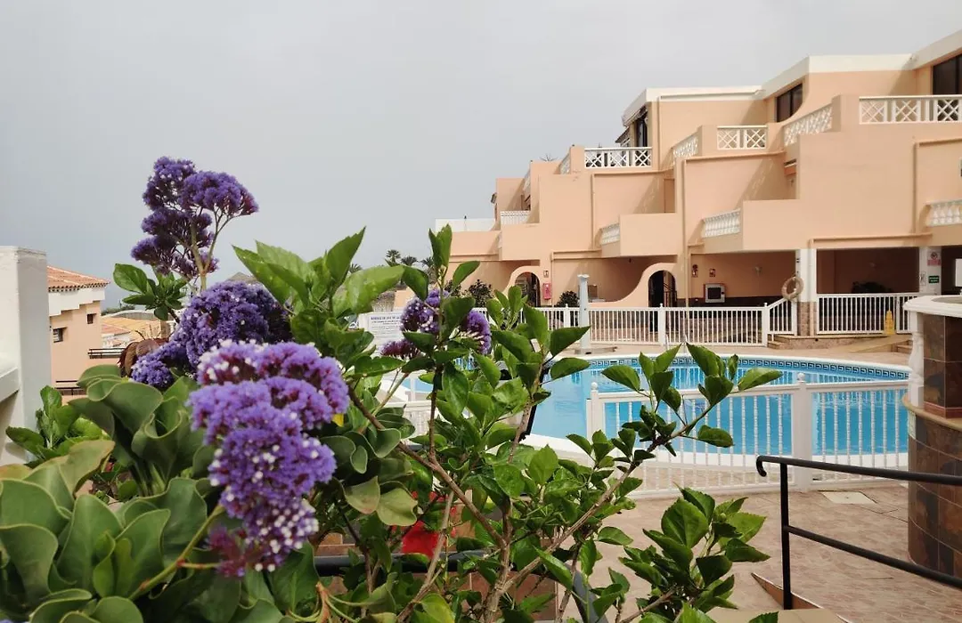 Golden Paradise Seaview-1