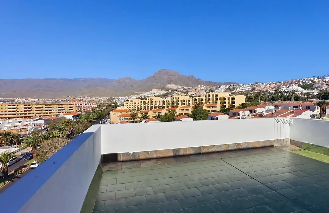 Spacious Penthouse Palmeras Ocean View 300 M To The Beach-1