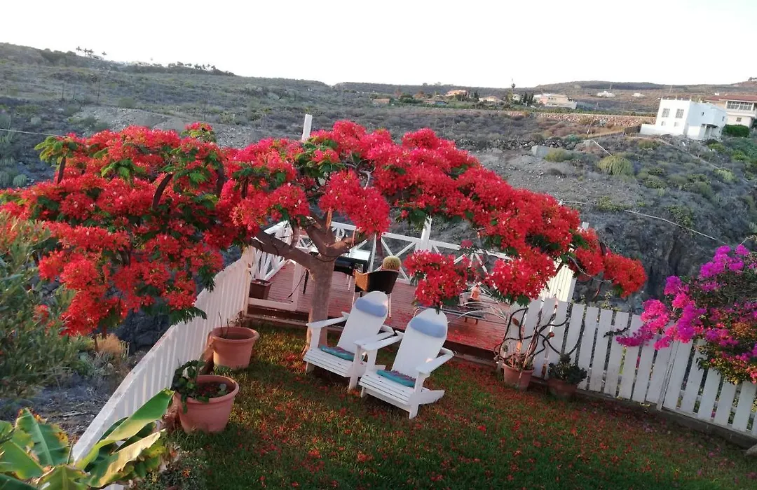 La Casita-1