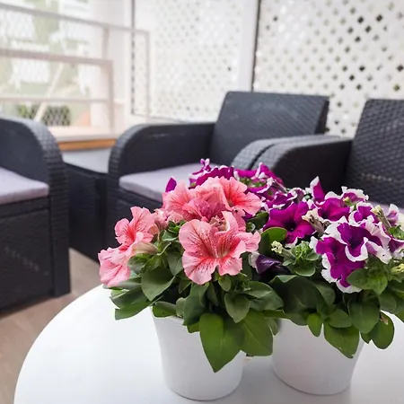 Apartment Orlando Tenerife Sur Dumbo-2