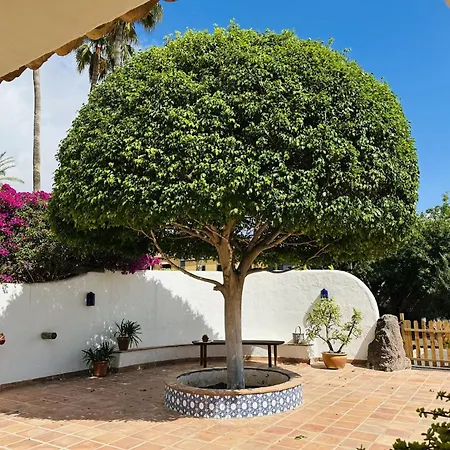 Holiday Home Finca Ingala By Interhome-2