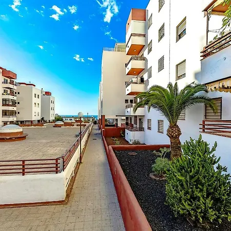 Palmeras Del Sur 2S-3
